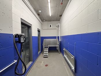 The Eloise Apartments Minneapolis, MN Pet Spa